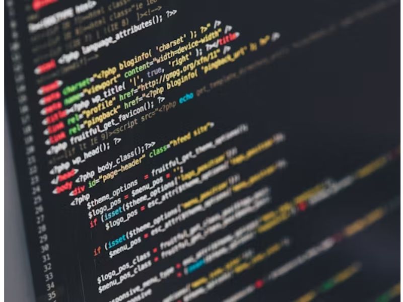 Website Development
