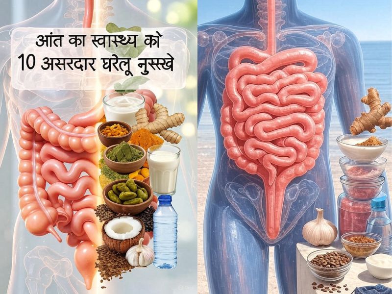 आंत का स्वास्थ्य के 10 असरदार घरेलू नुस्खे